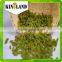 Wholesale Green Raisin