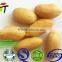 Fried blanched peanuts for sale