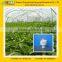Stevia Reb A 98% Extract from China supplier