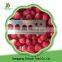 2016 best selling frozen strawberry , fruits and vegetables