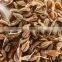 Star Anise Oil