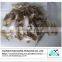 Dried frozen leather jacket fish fillet/file fish fillets