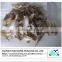 DRIED FRESH LEATHER JACKET FISH HGT / FILEFISH