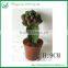 Decorative Mini Grated Colorful Cactus