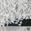 Free Drainage Growing Medium Horticulture Perlite/Vermiculite