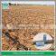 Hot Sell Plastic Agricultural Drip Irrigation Layflat pipe