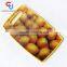 3D Fruit Design PP Cutting Board