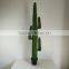 SJ3001009 High imitation cactus plant/indoor decoration cactus plant
