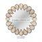 Stainless Steel Mother of Pearl Decorative Mirror Finish