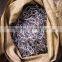Proof coil chain direct from TOP 3 factory