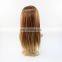 Popular Original Virgin Human Hair Natural Straight Lace Wig