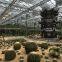 Large Size Multi Span Glass Greenhouse used as Cactus Garden