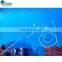 Factory Guaranteed  Long Flexible Durable Swimming Pool Vacuum House