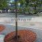 Customized drawing design Corten Steel Tree Grating
