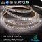 SMD 3528 supplier 5m 120led/m waterproof led strip CCT adjustable addressable white led strip
