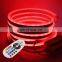 Outdoor Waterproof 110V  220V RGB LED Flex Neon Rope Tape Stripe Lighting