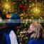 Christmas Home Fireworks Starburst multi color decorative  led light outdoor led decorative light