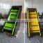 Stair Climber / Commercial Body Building Machine YW-A006 Climbing Machine