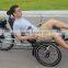 Electric Recumbent Trike Built for One