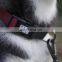 dog walking collar accept custom color wear-resistant collar with matching leash