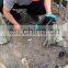 Integrated High-strain Pile Test Pile-bearing Deep Foundation Dynamic Tester