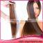 Factory Price Human Hair U-tip Hair Extension nail hair extension
