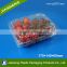 2016 new style PET transparent disposable plastic food tray for fruit / strawberry                        
                                                                                Supplier's Choice
