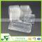 Customized plastic blueberry blister packaging box