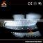 building model making company with good reputation in China