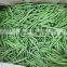 IQF Vegetable Frozen whole green bean