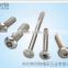 the lock stainless steel screw with high quality
