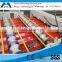 R panel And Corrugated Steel Roof Roll Forming Machine Manufacture Euipment in China
