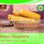 Auto parts 100% pass white and yellow corn maize grade 1
