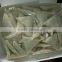 iqf spring rolls