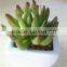 Cheap decoration artificial succulent plant high quality potted plant for decoration