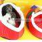 pet house/santa reindeer dog house