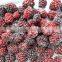 High quality IQF Frozen Blackberry with best price