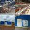 Automatic A cage and H cage equipment for feeding Layer hen egg chicken