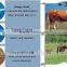 4 Feet High Sheep Fence /galvanized Cattle Fence