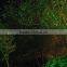 2014 new product Waterproof garden/park/Christ tree decoration laser light