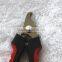 Professional factory supply pet nail clippers wholesale