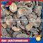 Coconut shell granular activated carbon price