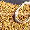 FENUGREEK SEEDS