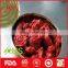 Canned tomato paste from China