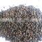 VIETNAM BLACK PEPPER FAQ/HIGH QUALITY