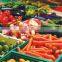 fresh vegetables of indian origin