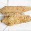 High Purity Puerarin