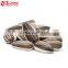 Bulk Raw Sunflower Seeds for Snack
