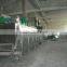 Industrial Vegetable and fruit carrot dryer