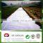 Polypropylene Agriculture Plastic Ground Cover Mesh
